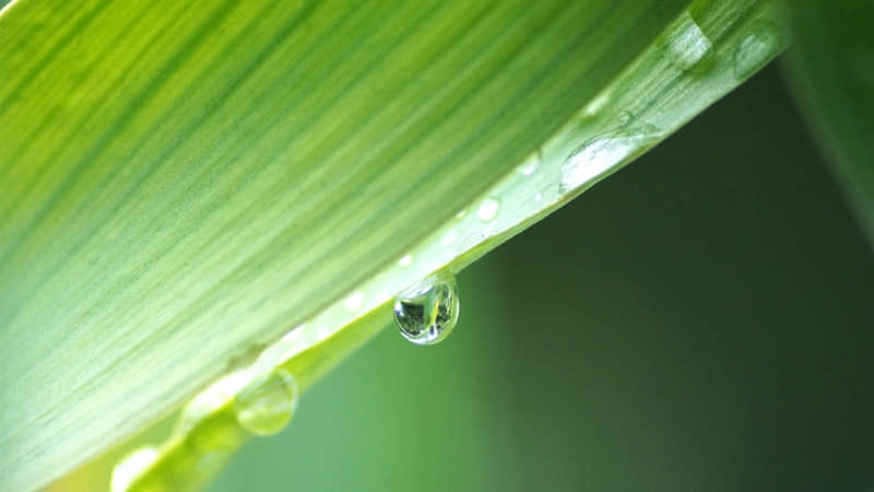 ��Ů�˿��ƺܴ�����ʵ�ʺܵ��۵�8����Ϊ??��2.0