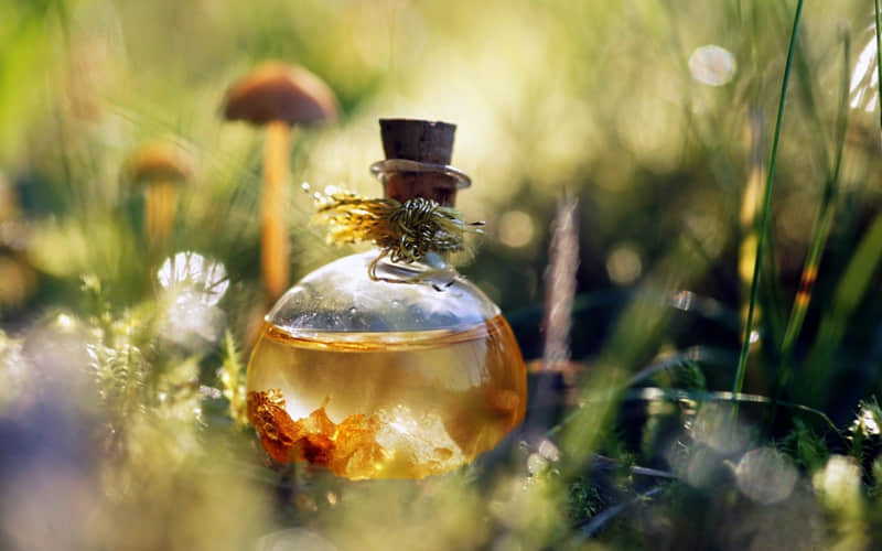 �������ˣ����Լ���һ�λ���̫̫�����ˡ�