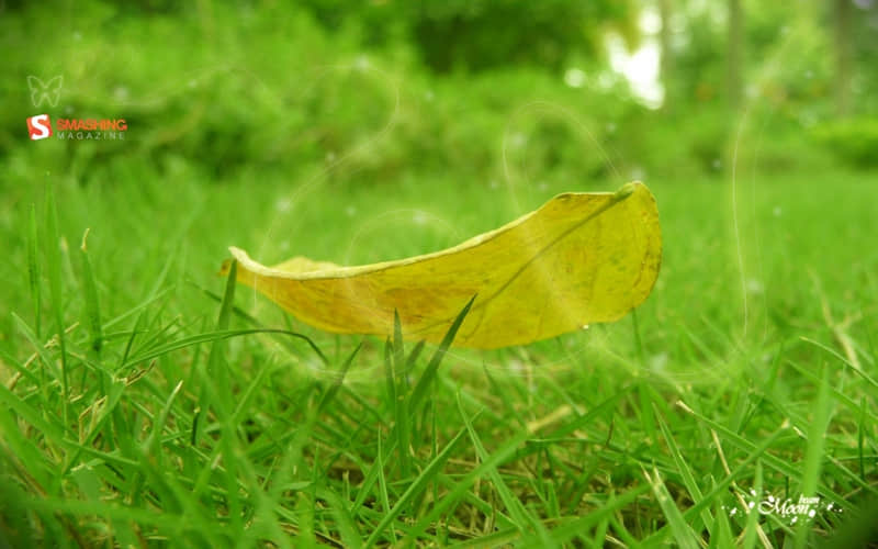 ????????????????����ش��İ�