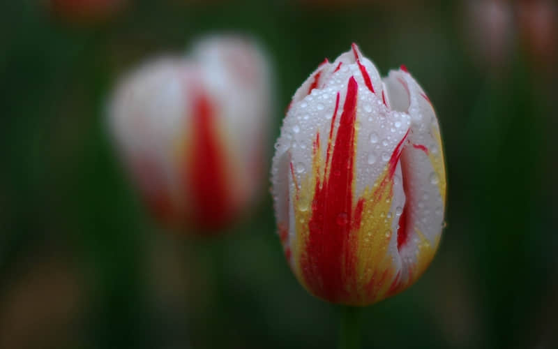 ��????????������һ�������Լ�??��