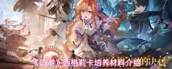 ����������������ʲô����  �����������������Ͻ���