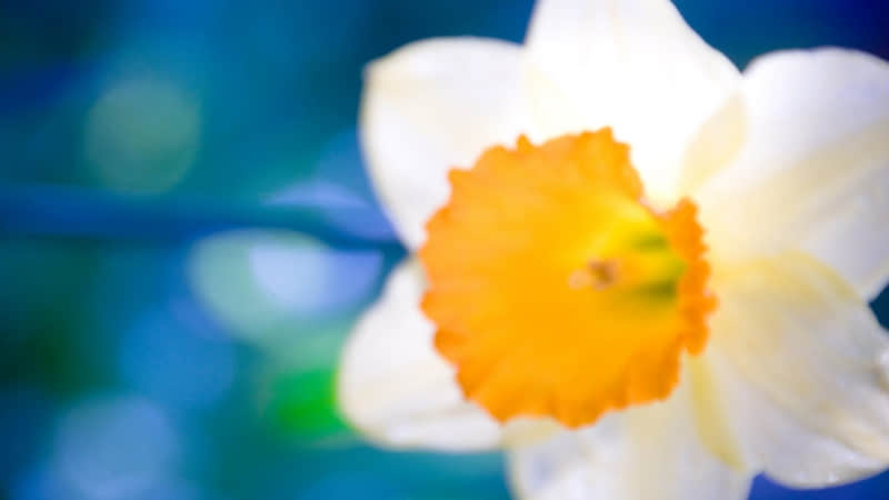 ���ߧצɦ�????�ϼ�??????????���ų�����ķÿͻᱩ�ǣ�??