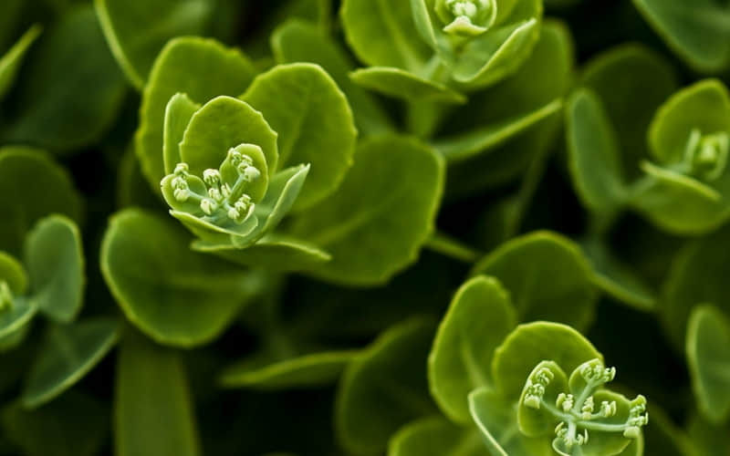 ��2026������¼�������ֺ����磬ֻΪ�Լ����⡱