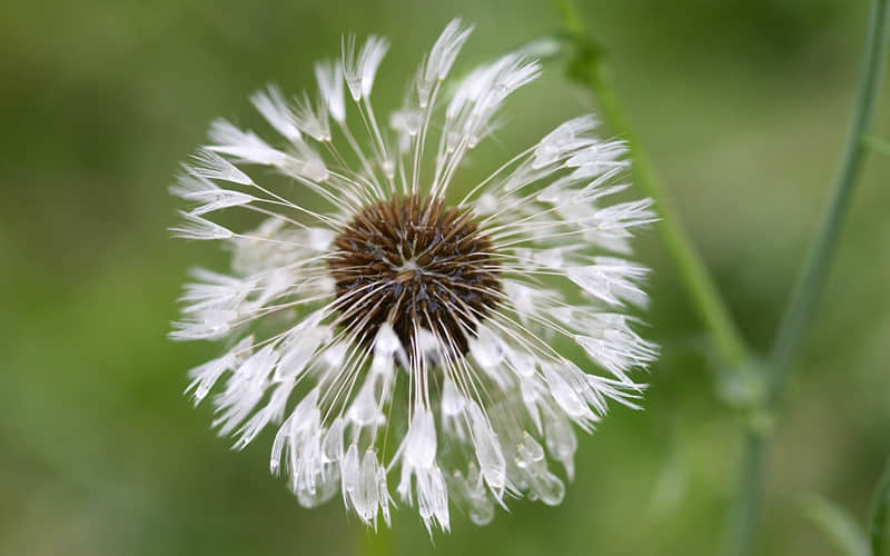 �����ճ�Ϧ���뷢һ����һ��������Ȧ��