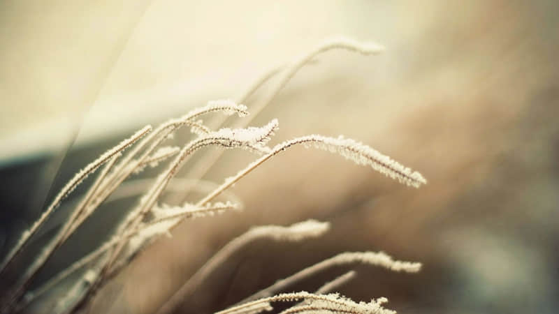 ��????????����????:???? ????��Ȧ�İ���??�A???�@?