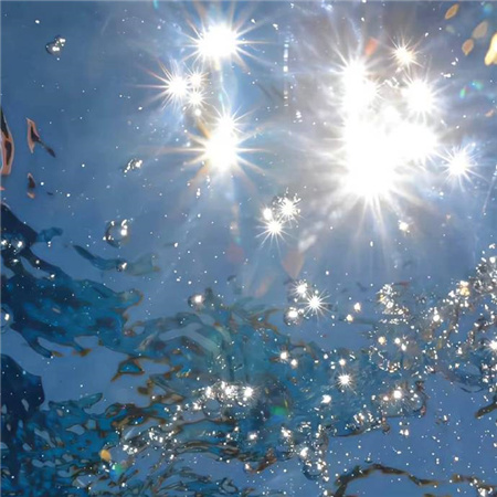 ���������������˸�(��ѡ100��)