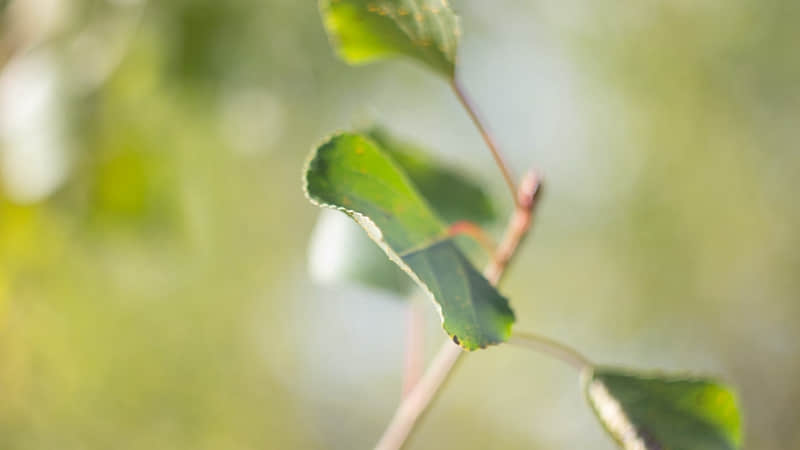 ��������һ�죬����Ȧ����ô����