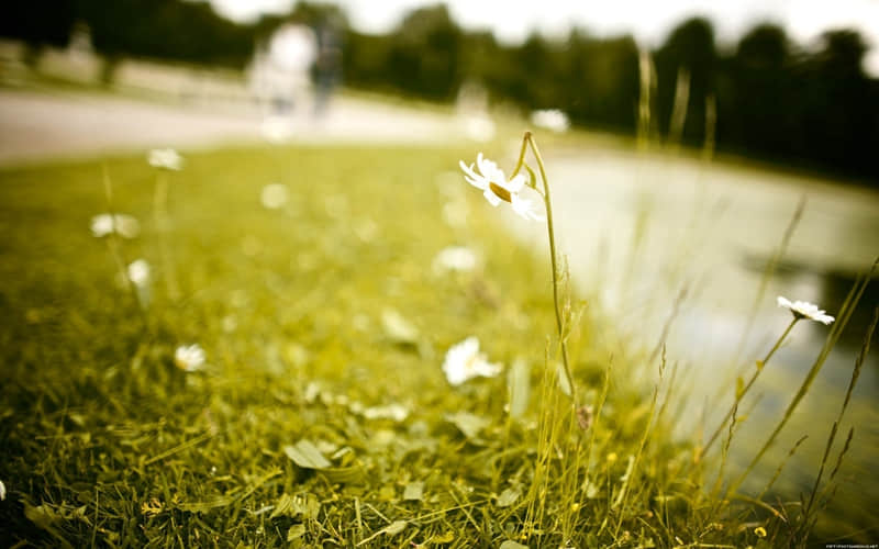 �������������˺ܰ�����һ�ס���