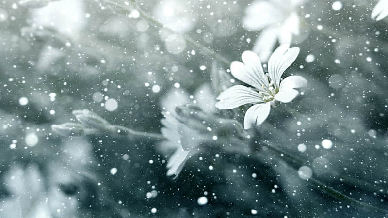 �� ????????�����㷢�ܾõ�����Ȧ�İ�����??