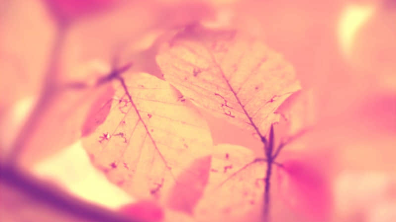 �������ˣ���һ����һ��������Ȧ��