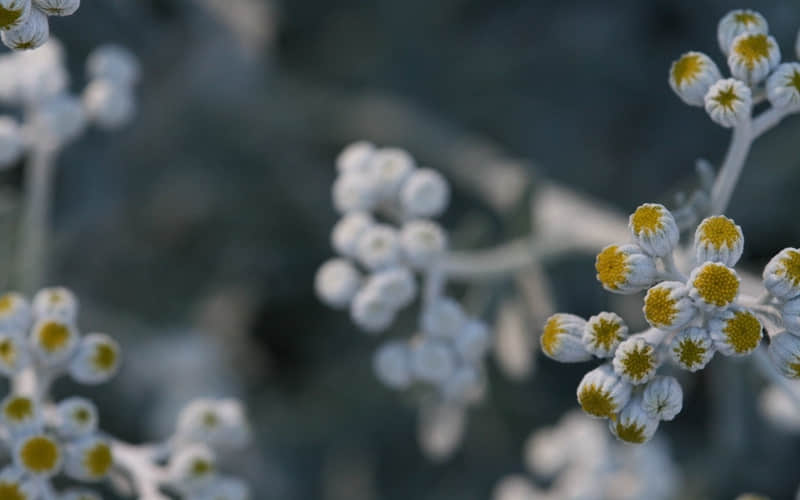 "���Ӻ̣ܶ����˺ܺ�"