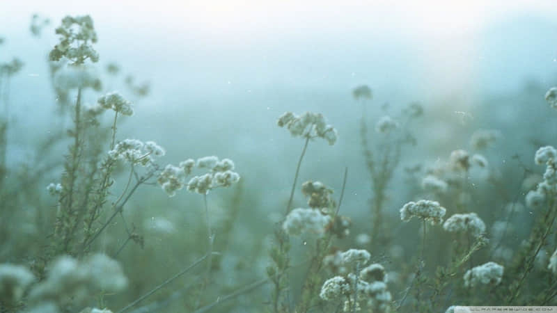 �����ʮ������Ȧ��ô����ʮȫʮ���������³ɣ�