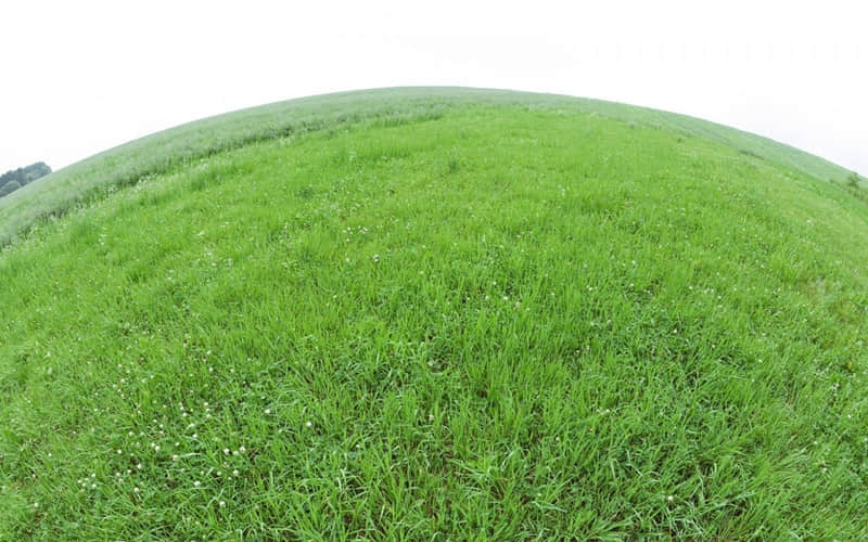 ��ţ������Ȼ�ܰѡ��������ˡ�˵����ô�߼���??