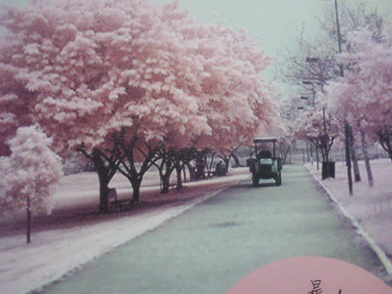 ����Ȧ������ô�����öԷ��о�Ҫʧȥ��