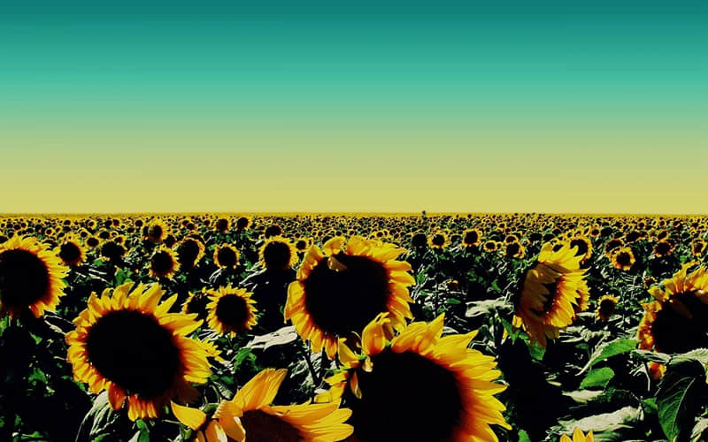 ��͵һ�������壬û�����������мܵ�ס��