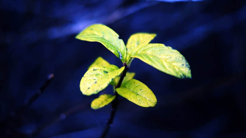 �������������ӹ����黰�������񣡣�����