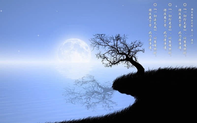 ��???????? ??�ϼ�������İ�����??��