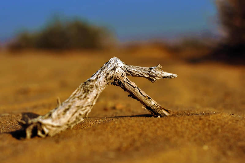 �� 2?2?/??.??���£��뷢һ����һ��������Ȧ�İ�ѽ��??