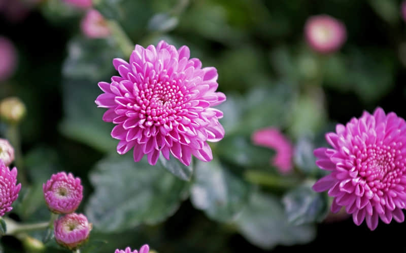 ������Ӻ���ʱ�õı�Ц����??��