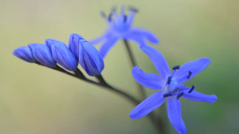 ��???????????1??��һ����һ��??����?��?Ȧ?�İ�???�㡱