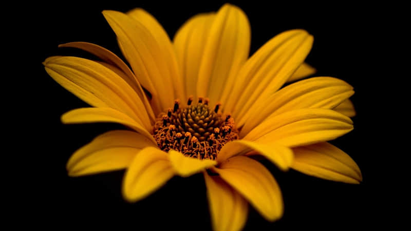 ��????????����ĸ�ǩ�û���~��??