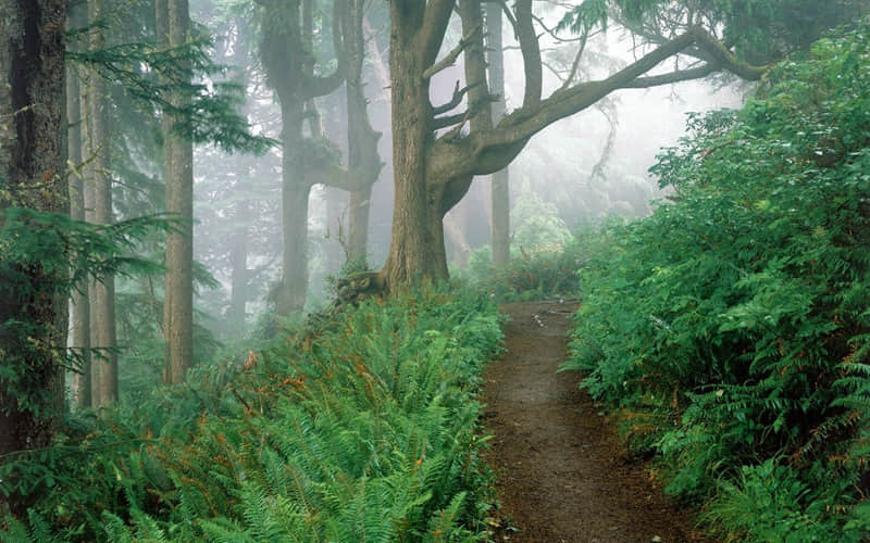 "????????��ֵ���ö��ܾõ������İ�"