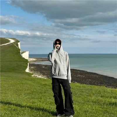 Ӣ��������ǳ���������(��ѡ100��)