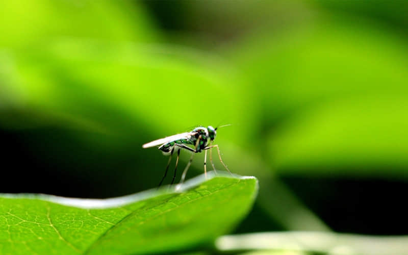 ����һ��֧���㣬�ܾõĻ���?????~