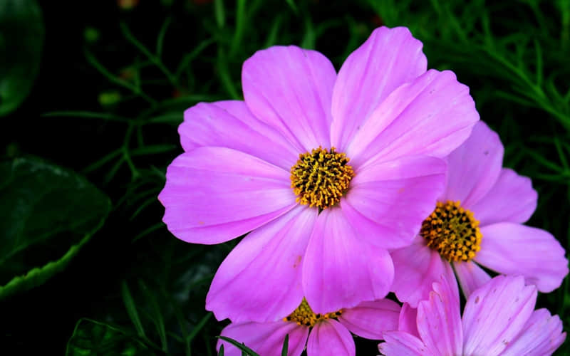 ����������Ů�ˣ�����Ȧ�������������Լ�??�A???�@?��