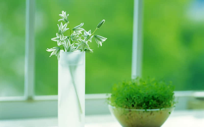 ��2?2?/??.??���µĵ�һ�죬����Ȧһ��Ҫ��������