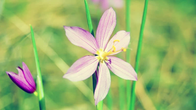 ��2?2?/??.???? ���µĵ�һ�죬����Ȧһ��Ҫ��������