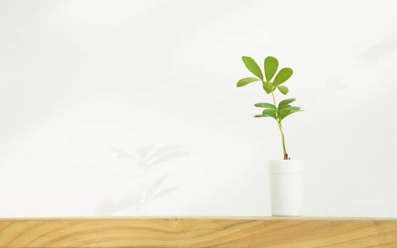 ���������ˣ�����һ����ô˵��