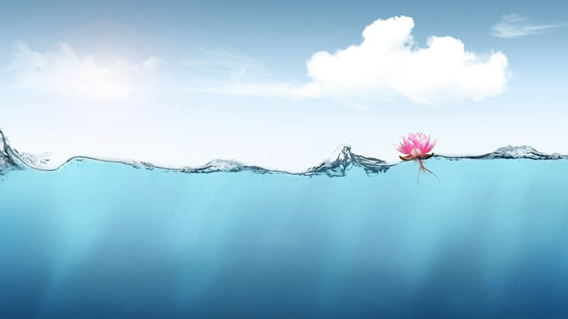 ����ϵ�ѽ�����ʹ˱���ɡ�