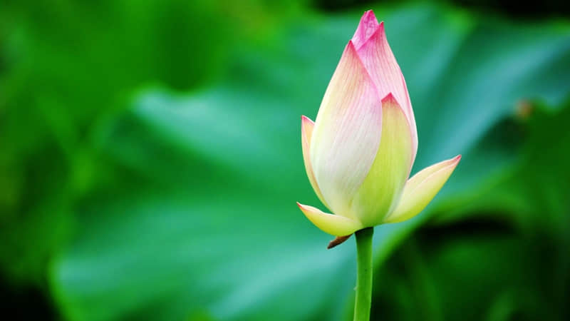 ���ߧצɦ�????�ϼ�??????????���ų�����ķÿͻᱩ�ǣ���