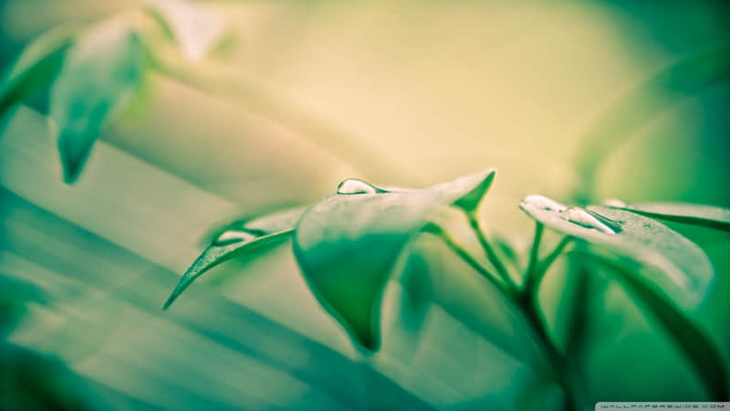 ���������Ҷ����ɣ�����Ȧ��������̫�ио��ˡ�