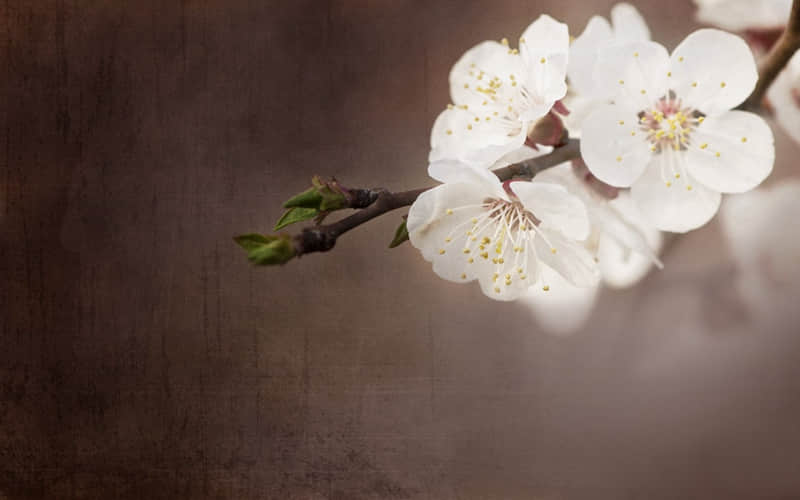 "�����˺þõ�����Ȧ�̾��İ�"