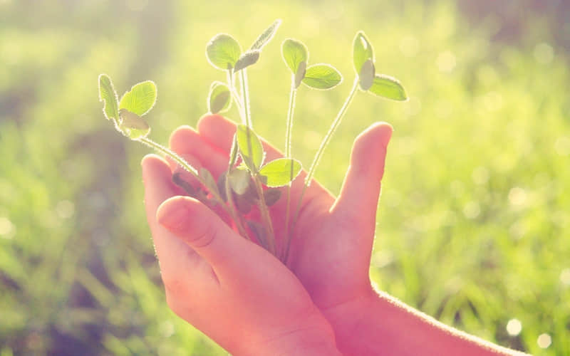 �����㱾������һ���ܺõ��ˣ�˭������һ�𶼻��Ҹ�����