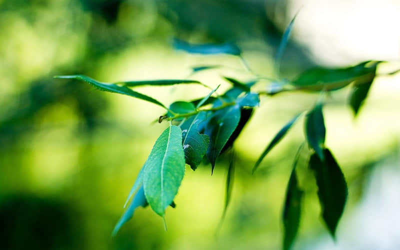 ��2?2?/??.??Ԫ���ڣ�����Ȧ��������̫��Ц��??