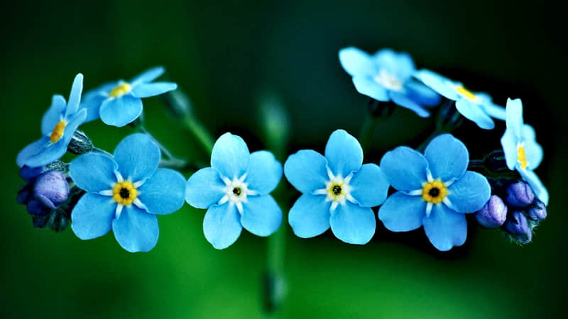 ������������??������λ�������