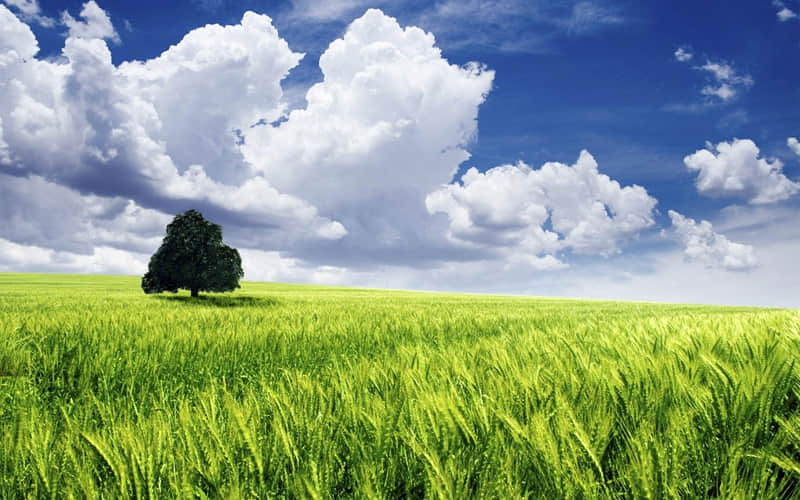 �������ˣ��߼�һ����ô˵??