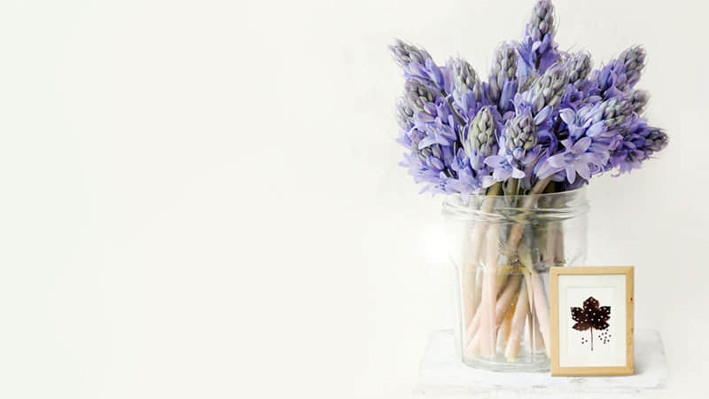 ???????????���㷢�ܾõ��İ�????????