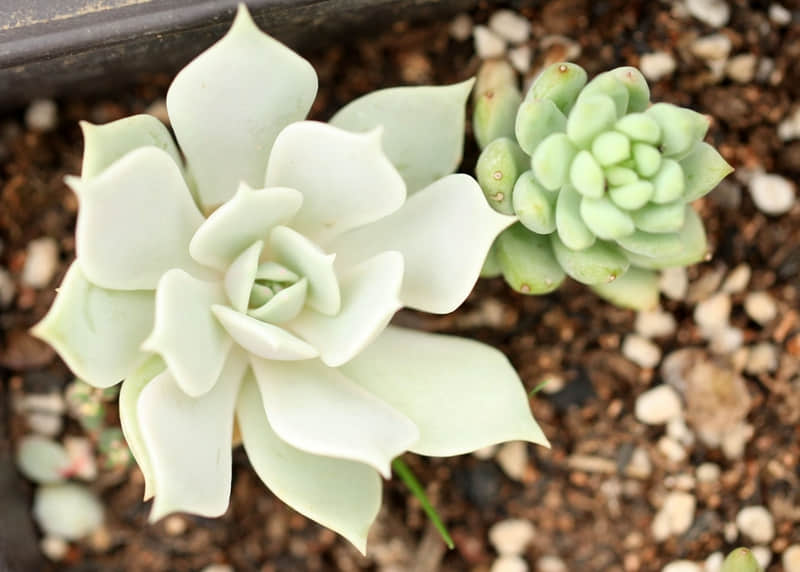 ����ǳ����˸÷�������Ȧ��̫�ио���