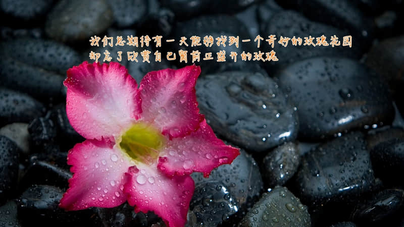 ���Ϲ��Ѿ���ʱ�ˣ�����������9�ֳƺ���