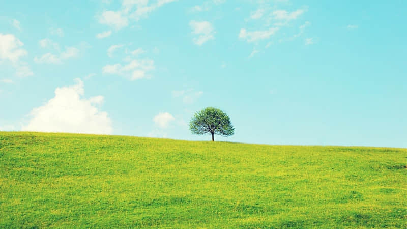 ���˶��������5�����֣�����ռ3��Ҳֵ���и�����