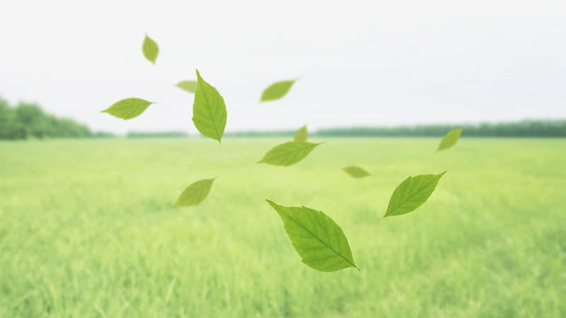 �ʺϺ��̲跢�ĳ����İ��������������Ȧ