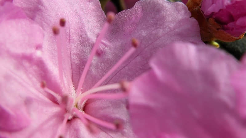 ?�A??????????�@?������֧����ܾõ��İ�