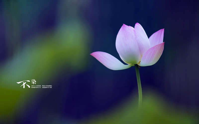 ���ݽ���������������Ȧ��û�����������