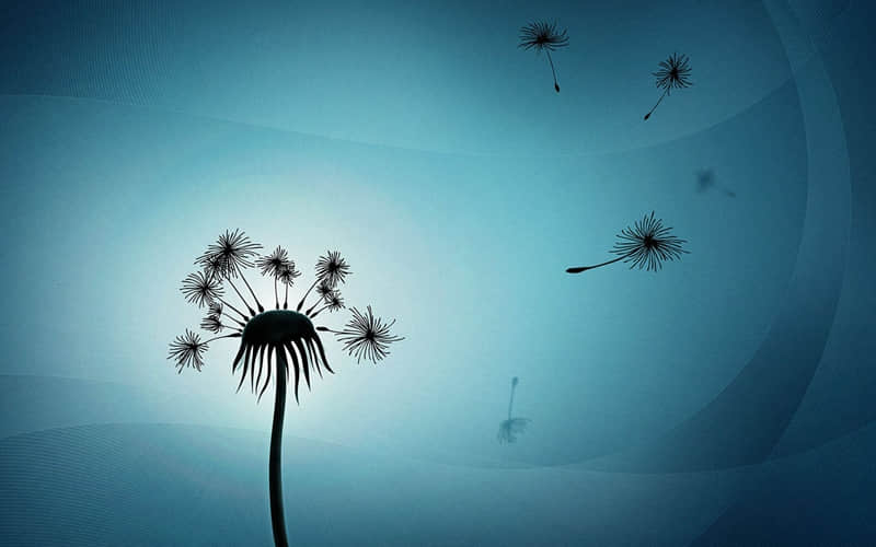 ��Խ�����������̲�ס��ϵ����İ�