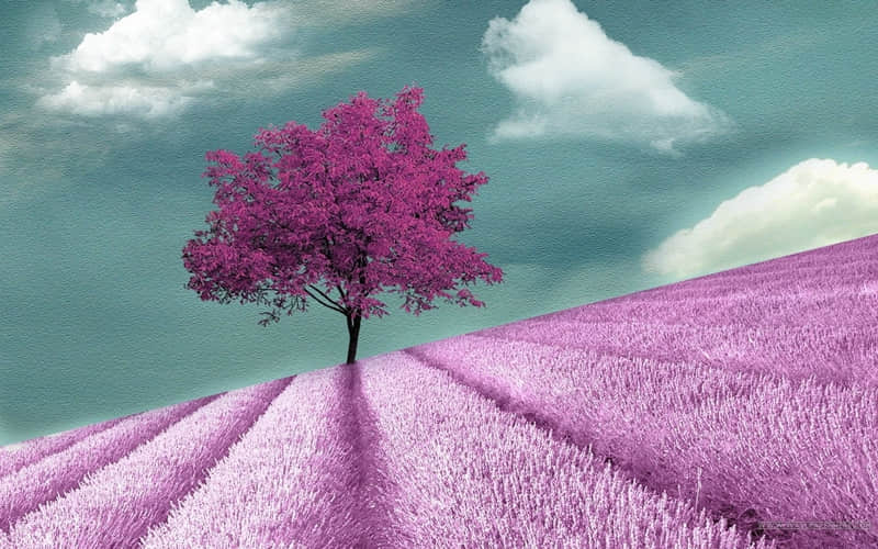 �Ϲ�������������̫�ио���