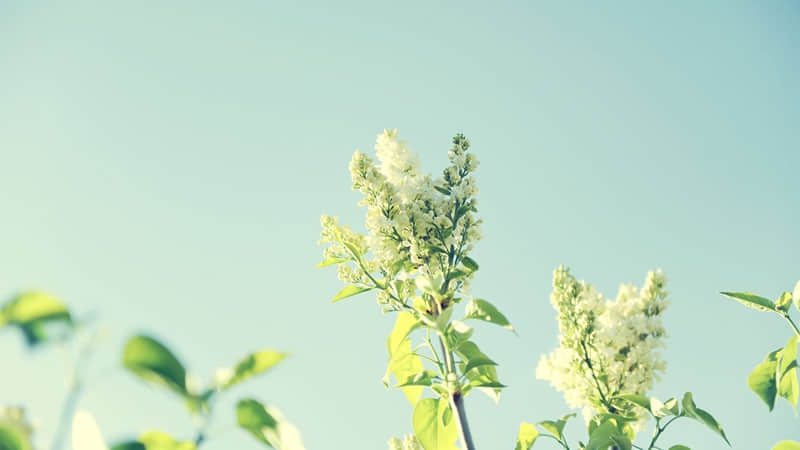 ��������Ȧ��̫�ио���